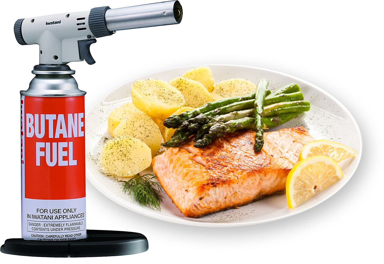 Iwatani International CB-TC-PRO 2 Iwatani PRO2 Culinary Butane Torch for  sous vide, crème brulee, pastries, camping and so much more